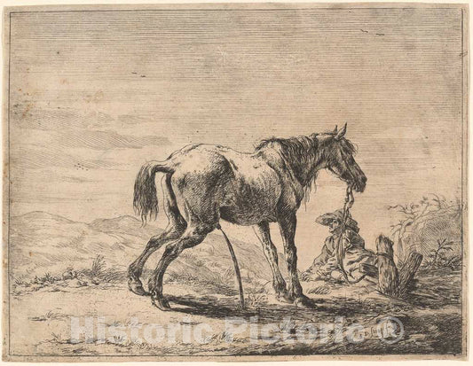 Art Print : Dirck Stoop, Rearing Horse Near a Stable, 1651 - Vintage Wall Art