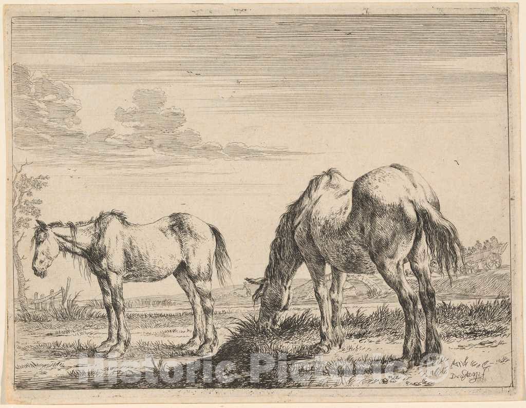 Art Print : Dirck Stoop, Two Grazing Horses, 1651 - Vintage Wall Art