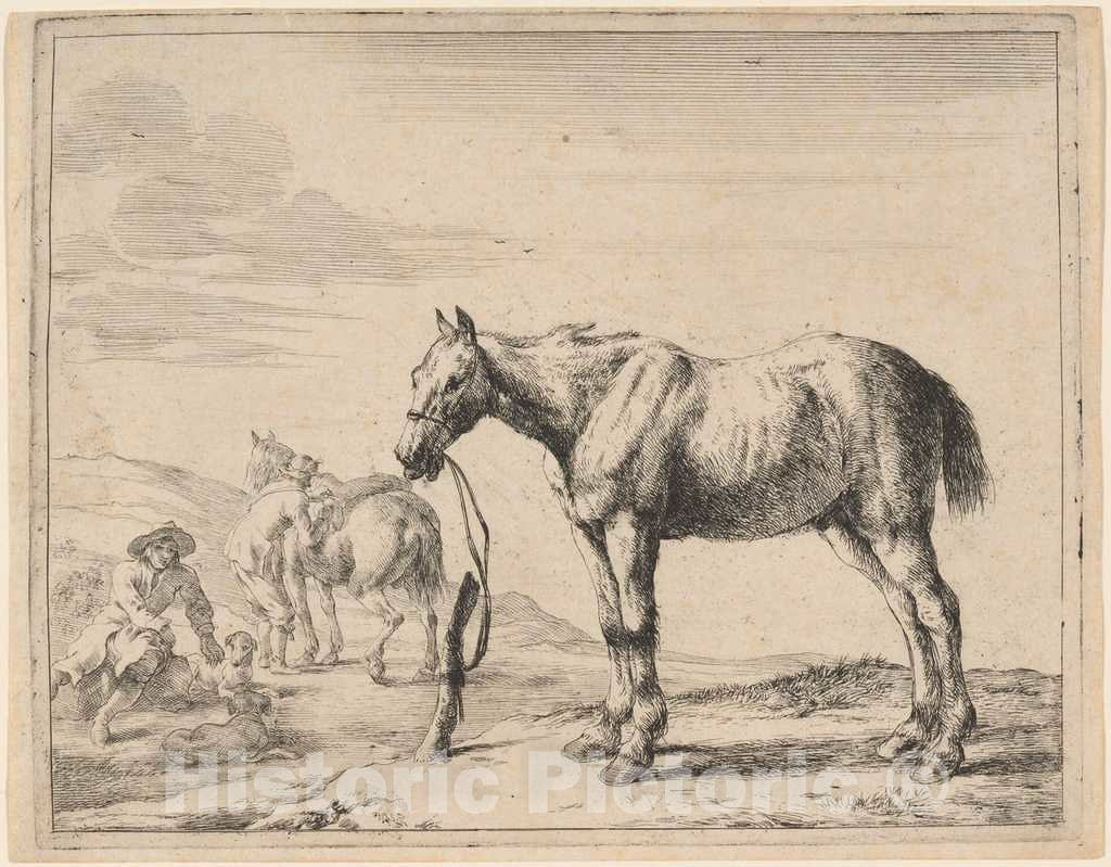 Art Print : Dirck Stoop, A Horse Bound to a Post, 1651 - Vintage Wall Art