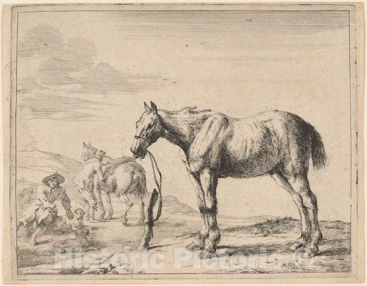 Art Print : Dirck Stoop, A Horse Bound to a Post, 1651 - Vintage Wall Art