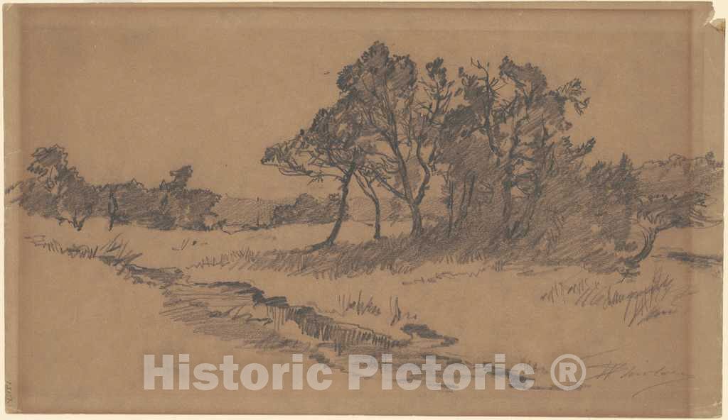 Art Print : Walter Shirlaw, Trees in a Field, Late 19th Century - Vintage Wall Art