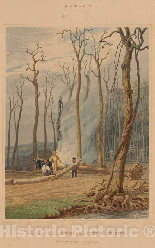 Art Print : Bennett After Harvey, Spring-Burning Fallen Trees in a Girdled Clearing. Western Scene, 1841 - Vintage Wall Art
