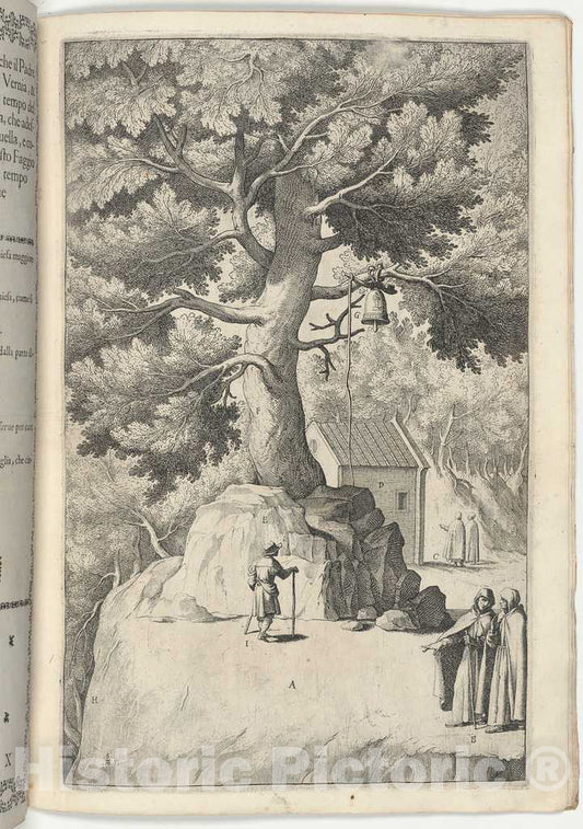 Art Print : Lino Moroni, Beech Tree with The Bell (Faggio Della Campana), 1612 - Vintage Wall Art