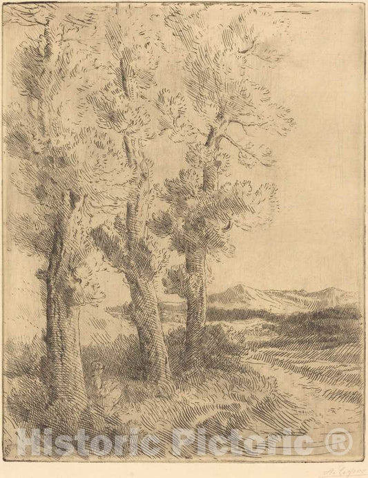 Art Print : Alphonse Legros, Woman Reading: Lesson Under The Trees (La liseuse: La Lecture Sous les arbres) - Vintage Wall Art