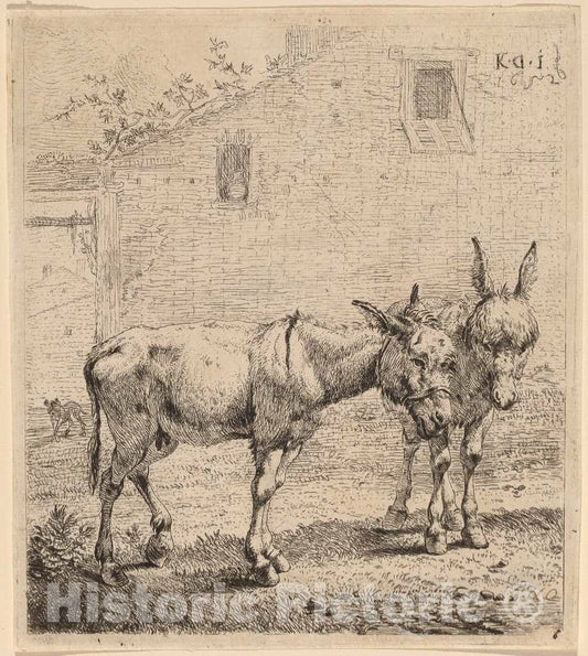 Art Print : Dujardin, Two Asses, 1652 - Vintage Wall Art