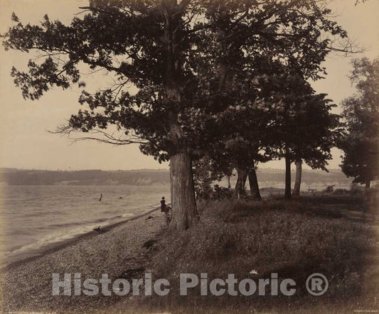 Art Print : William H. Rau, Cayuga Lake, Sheldrake, c. 1895 - Vintage Wall Art