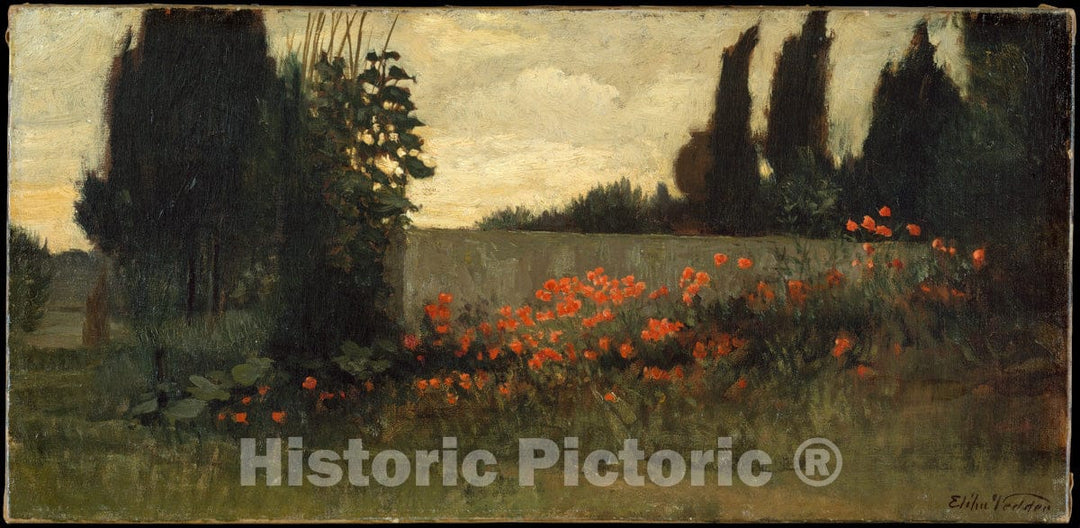 Art Print : Elihu Vedder - Cypress and Poppies : Vintage Wall Art