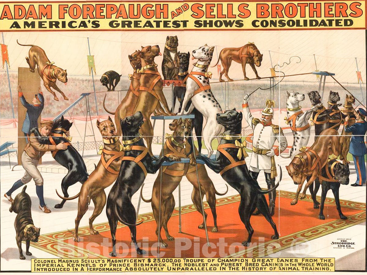 Vintage Poster -  Adam Forepaugh and Sells Brothers America's Greatest Shows Consolidated - Colonel Magnus Schult's Magnificent $25,000,00, Historic Wall Art