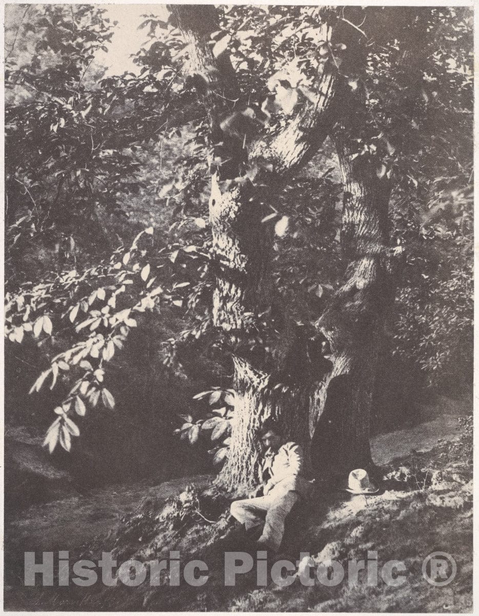 Photo Print : Charles Marville - Homme allongé au pied d'un chàtaignier : Vintage Wall Art