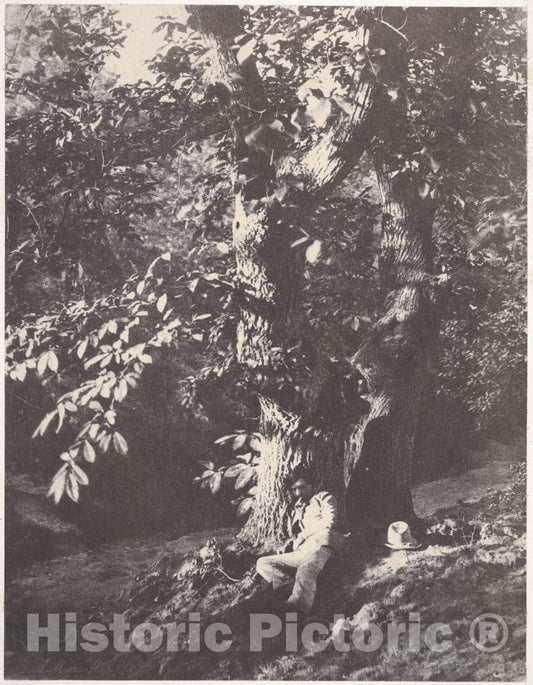 Photo Print : Charles Marville - Homme allongé au pied d'un chàtaignier : Vintage Wall Art