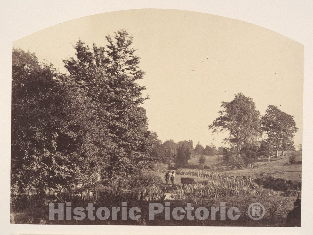Photo Print : Plunket - The Woodland Stream : Vintage Wall Art