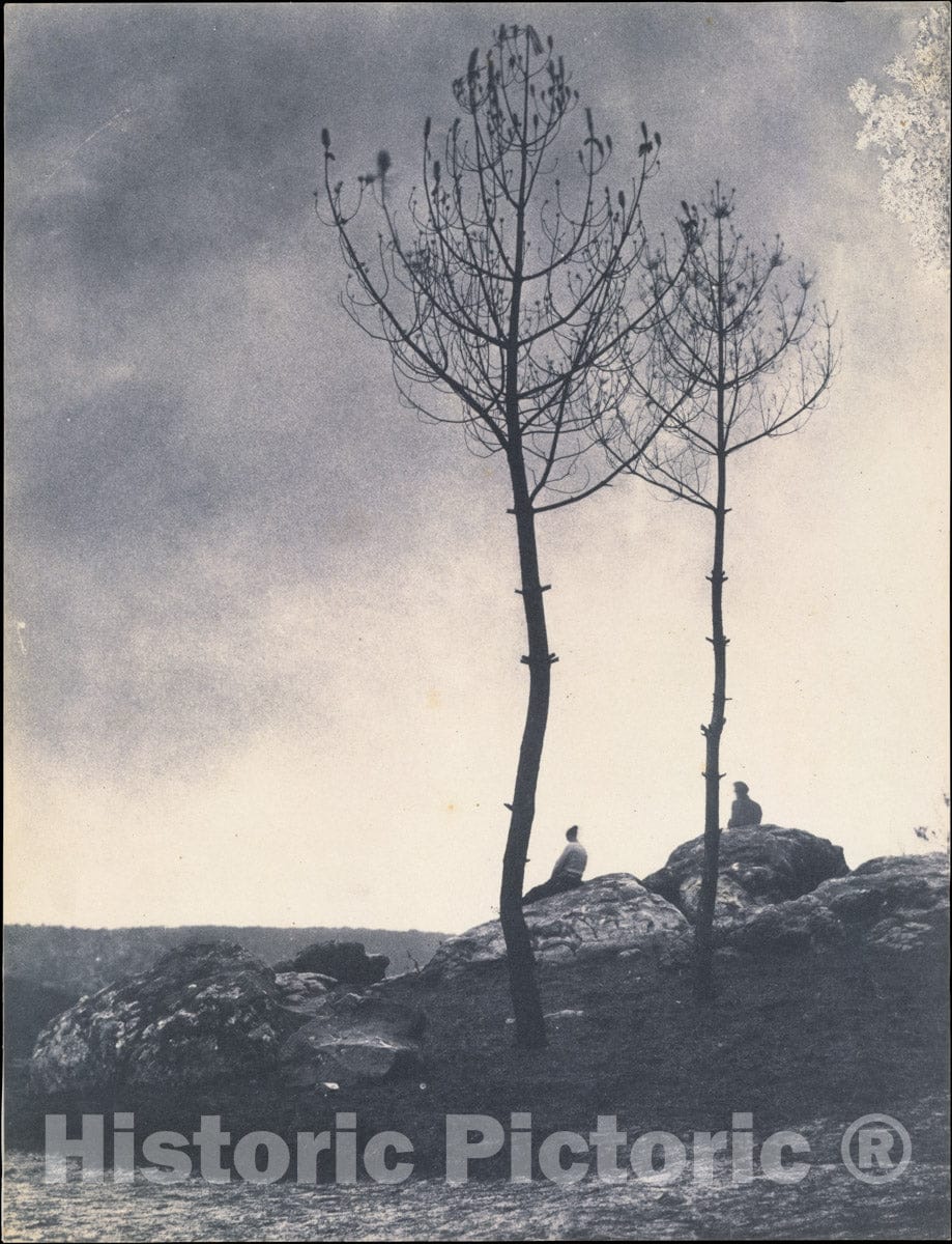 Photo Print : Eugène Cuvelier - Près de la Caverne, Terrain Brûlé : Vintage Wall Art