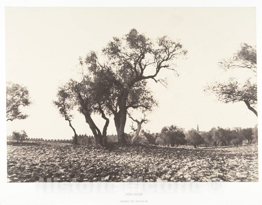 Photo Print : Auguste Salzmann - Jérusalem, Chemin de Naplouse : Vintage Wall Art