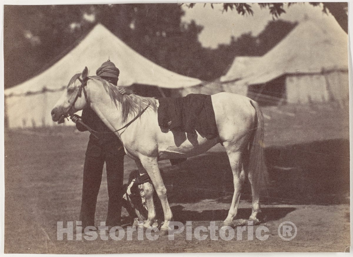 Photo Print : My Arab Antelope : Vintage Wall Art