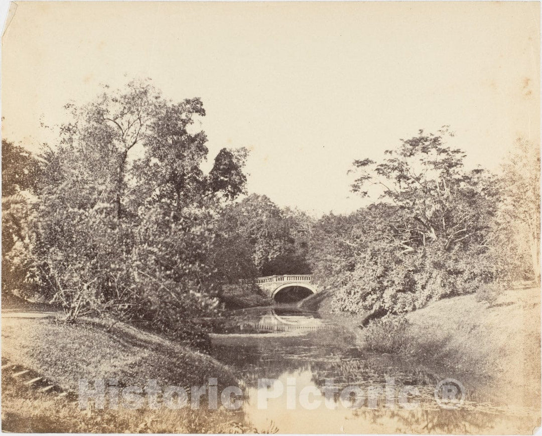 Photo Print : Captain R. B. Hill - Botanical Gardens, Calcutta 1 : Vintage Wall Art