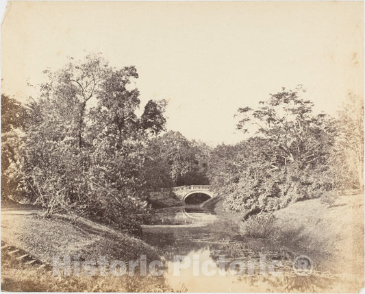 Photo Print : Captain R. B. Hill - Botanical Gardens, Calcutta 1 : Vintage Wall Art