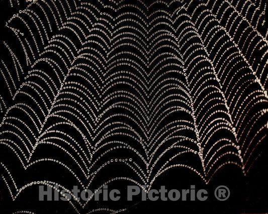 Photo Print : Wilson Alwyn Bentley - Dew on a Spider Web : Vintage Wall Art