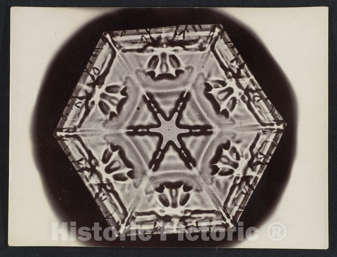 Photo Print : Wilson Alwyn Bentley - Snow Crystal 6 : Vintage Wall Art
