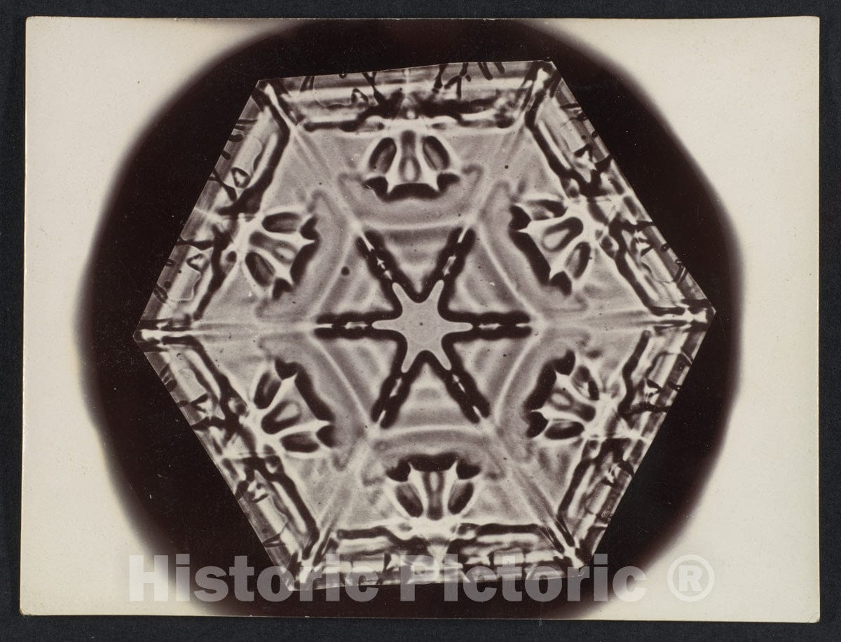 Photo Print : Wilson Alwyn Bentley - Snow Crystal 6 : Vintage Wall Art