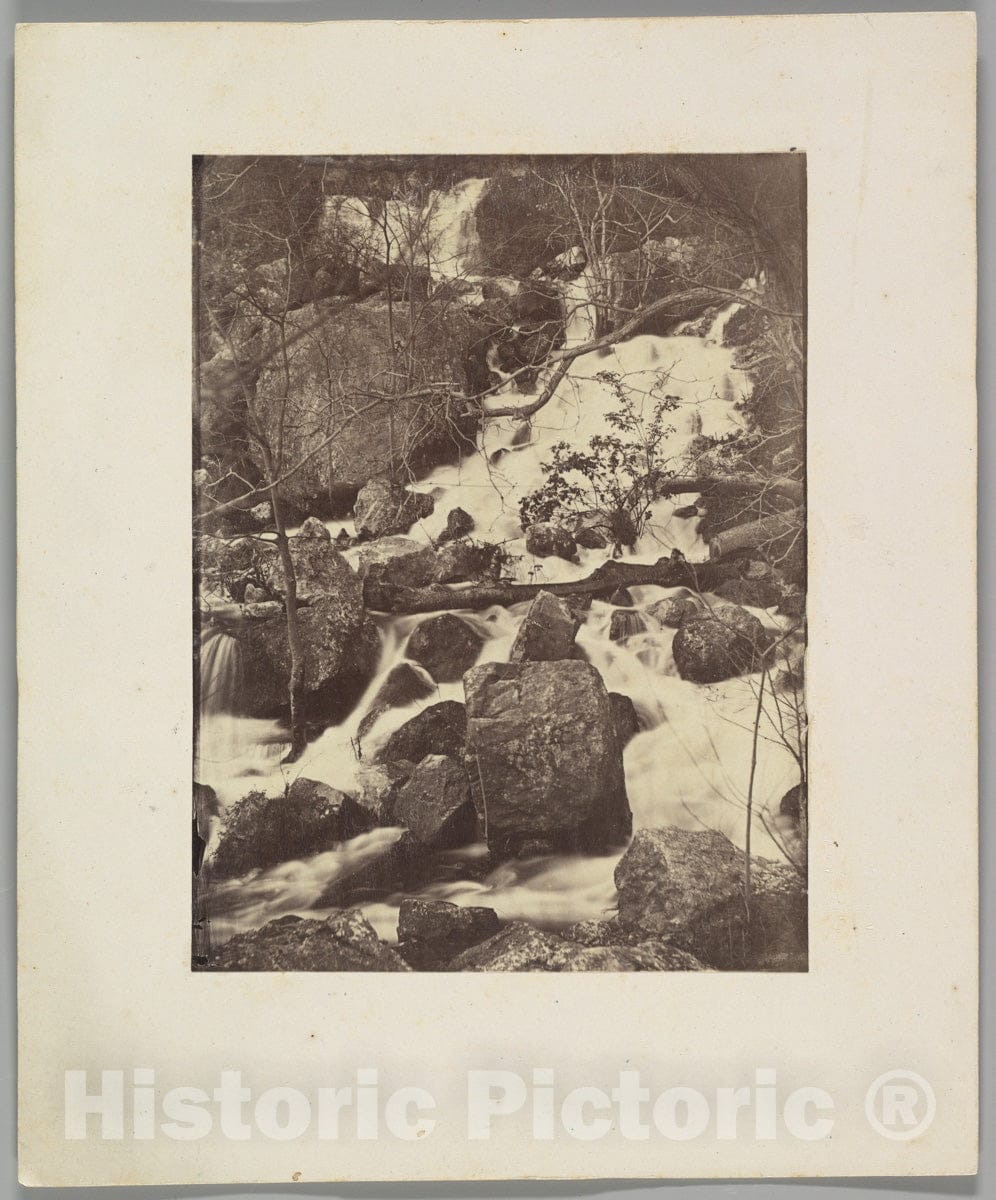 Photo Print : Charles Nègre - Trees and Waterfalls : Vintage Wall Art