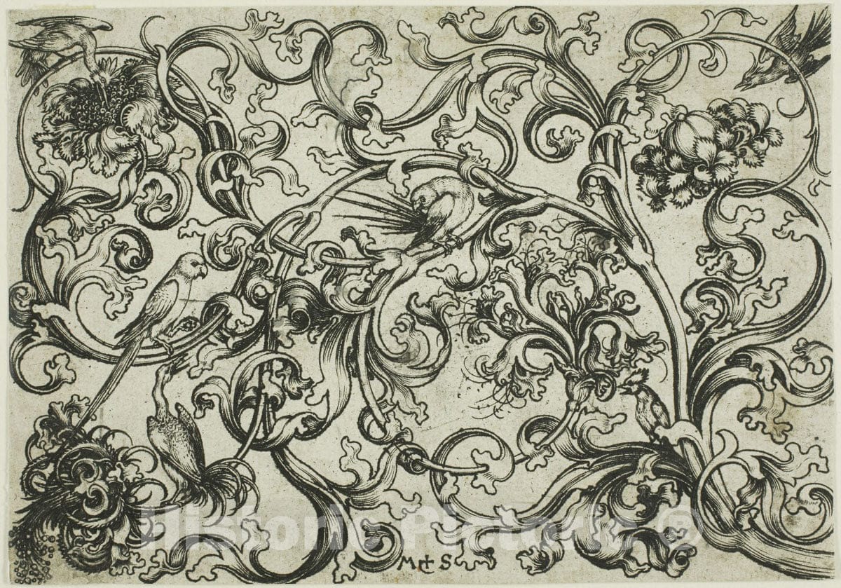 Art Print : Vine Ornament with Birds, Martin Schongauer, c.1471, Vintage Wall Decor :