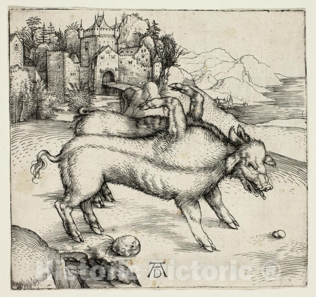 Art Print : The Monstrous Sow of Landser, Albrecht DÃ¼rer, 1496, Vintage Wall Decor :