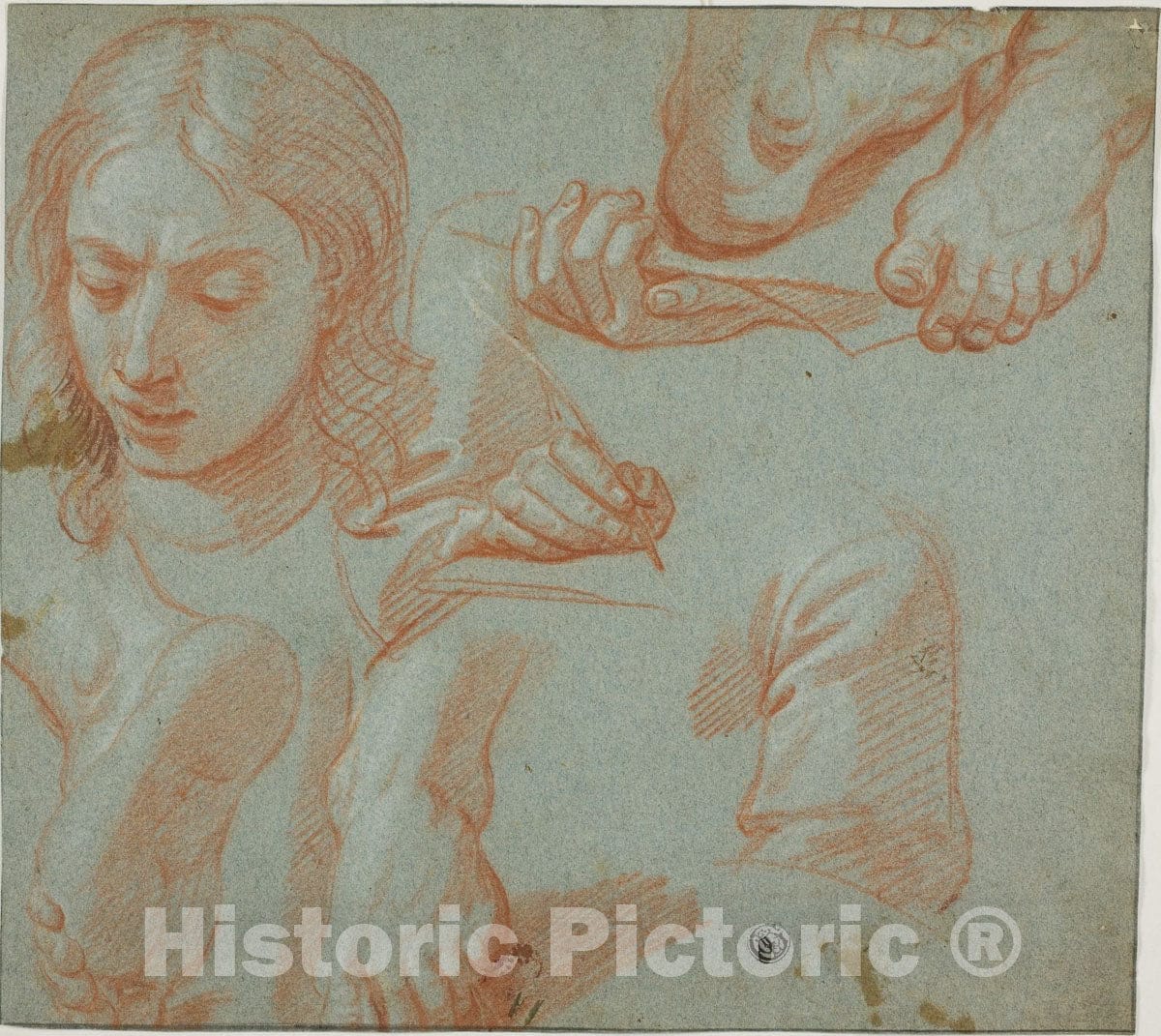 Art Print : Sketches of Head, Hands, Shoulder, and Feet, Style of Agostino Masucci, c.1650, Vintage Wall Decor :