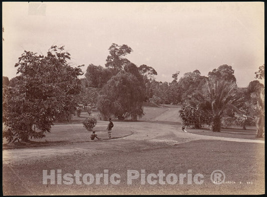 Photo Print : Botanical Garden 2 : Vintage Wall Art
