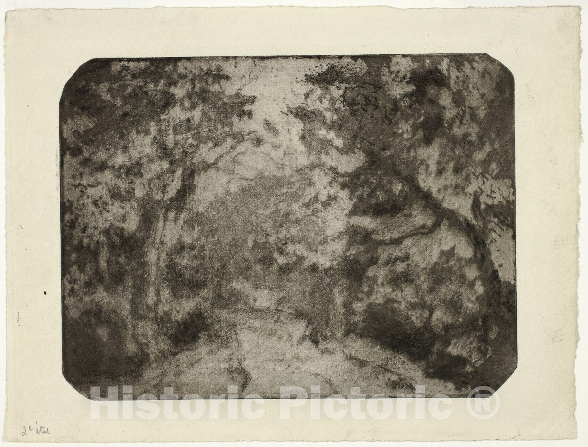 Art Print : Wooded Lane at Pontoise, Camille Pissarro, c 1879, Vintage Wall Decor :