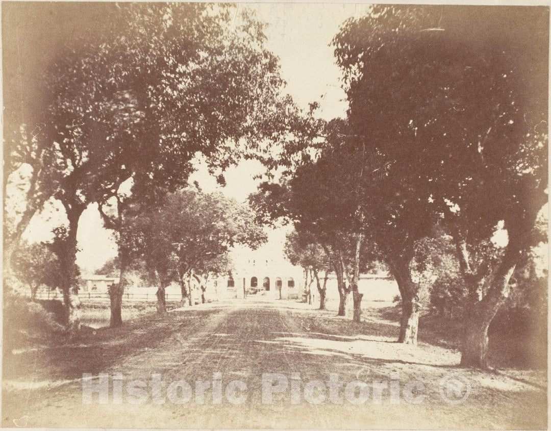 Photo Print : Captain R. B. Hill - Avenue, Mess and Capt. Hill's House : Vintage Wall Art