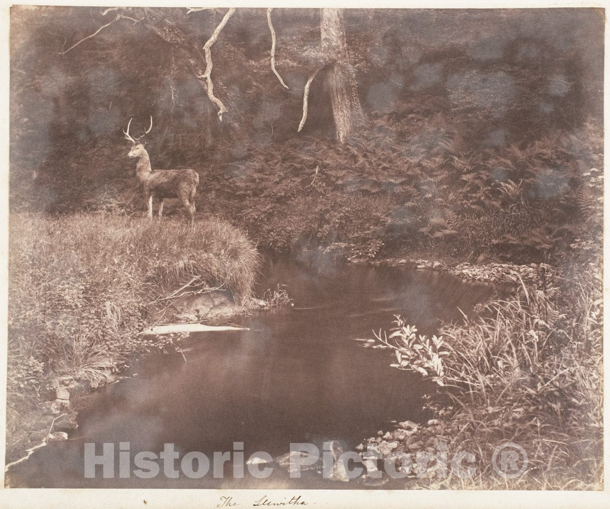 Photo Print : John Dillwyn Llewelyn - The Lewitha : Vintage Wall Art