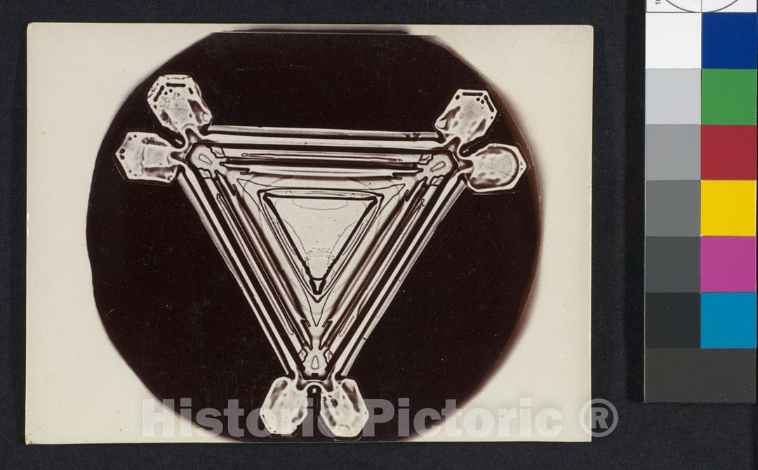 Photo Print : Wilson Alwyn Bentley - Snow Crystal 7 : Vintage Wall Art