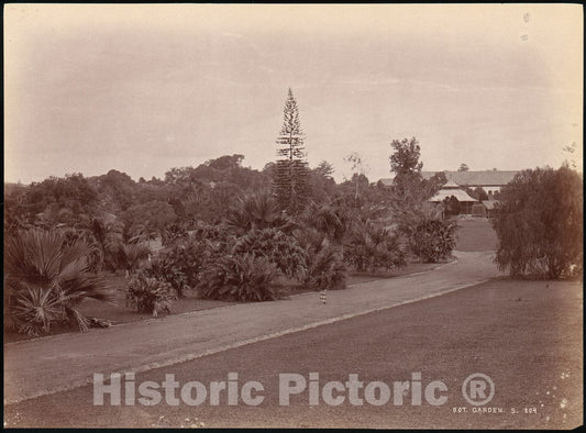 Photo Print : Botanical Garden 1 : Vintage Wall Art