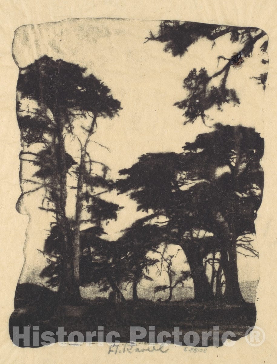 Photo Print : Henry Ravell - Cypress, Pebble Beach, California 3 : Vintage Wall Art