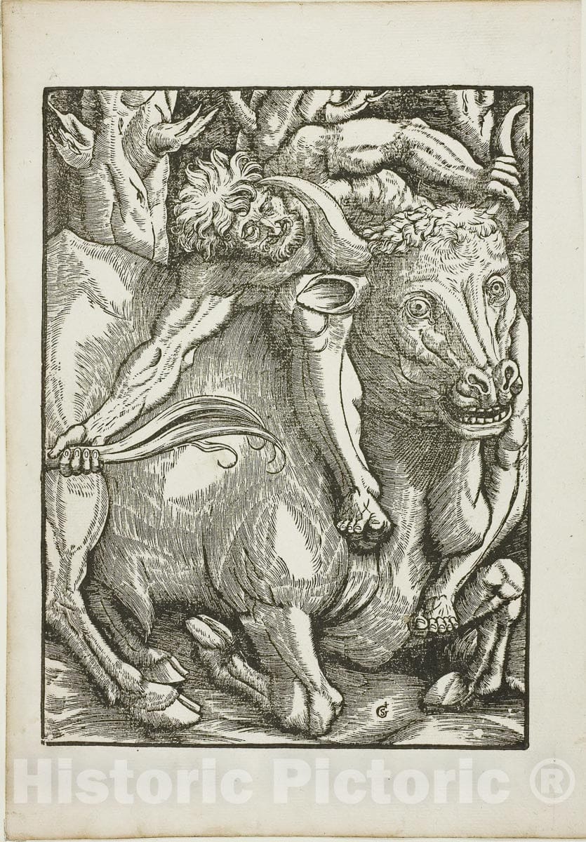 Art Print : The Labors of Hercules: Hercules Capture of the Cretan Bull, Gabriel Salmon, c.1528, Vintage Wall Decor :