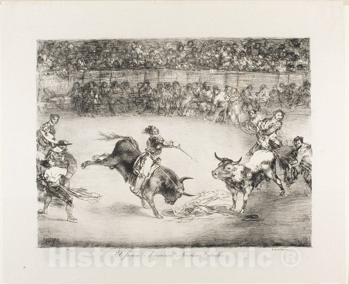 Art Print : The Famous American, Mariano Ceballos, from The Bulls of Bordeaux, Francisco Goya, 1825, Vintage Wall Decor :