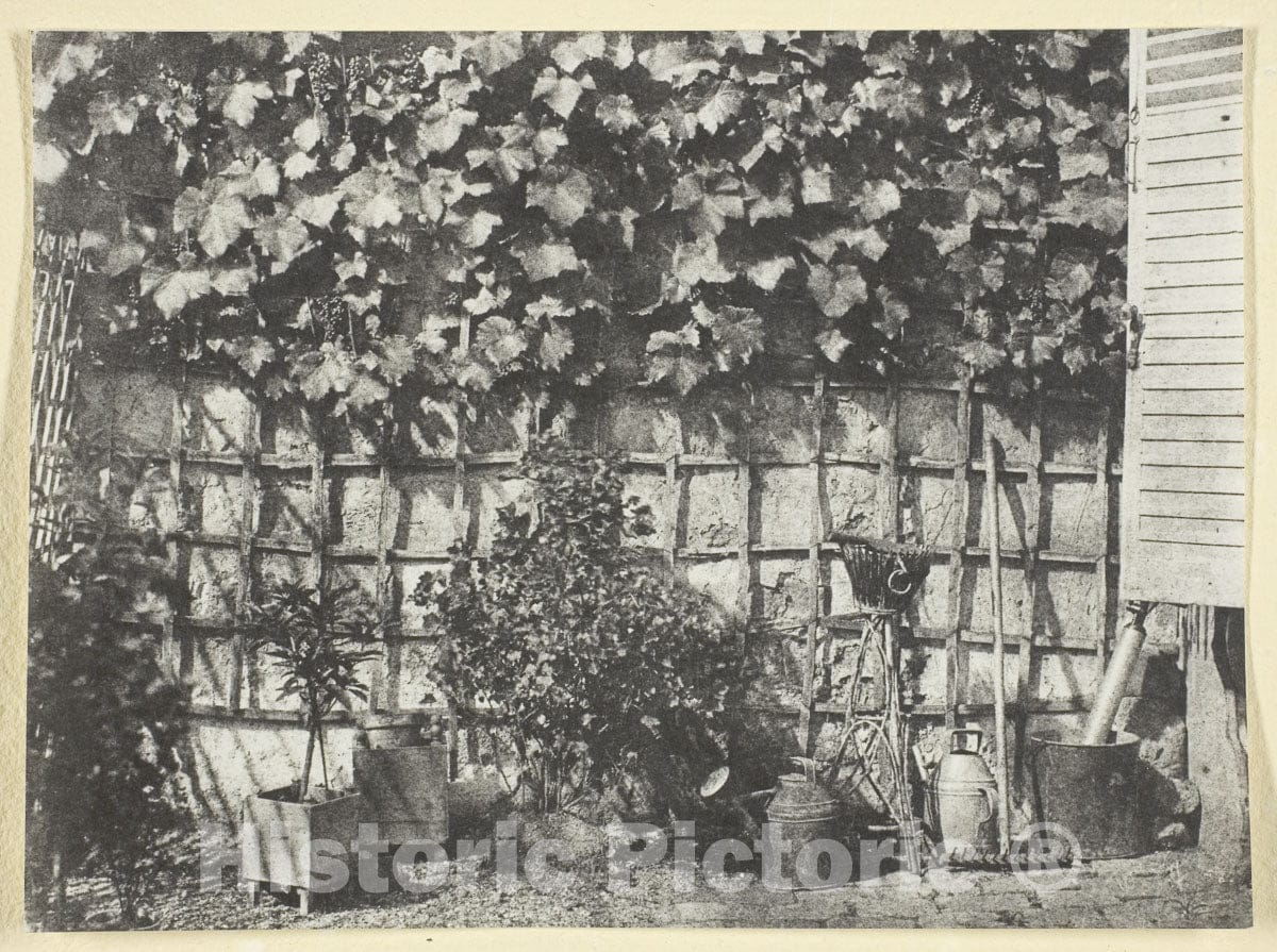 Art Photo : La Treille, Hippolyte Bayard, 1847, Vintage Wall Decor :