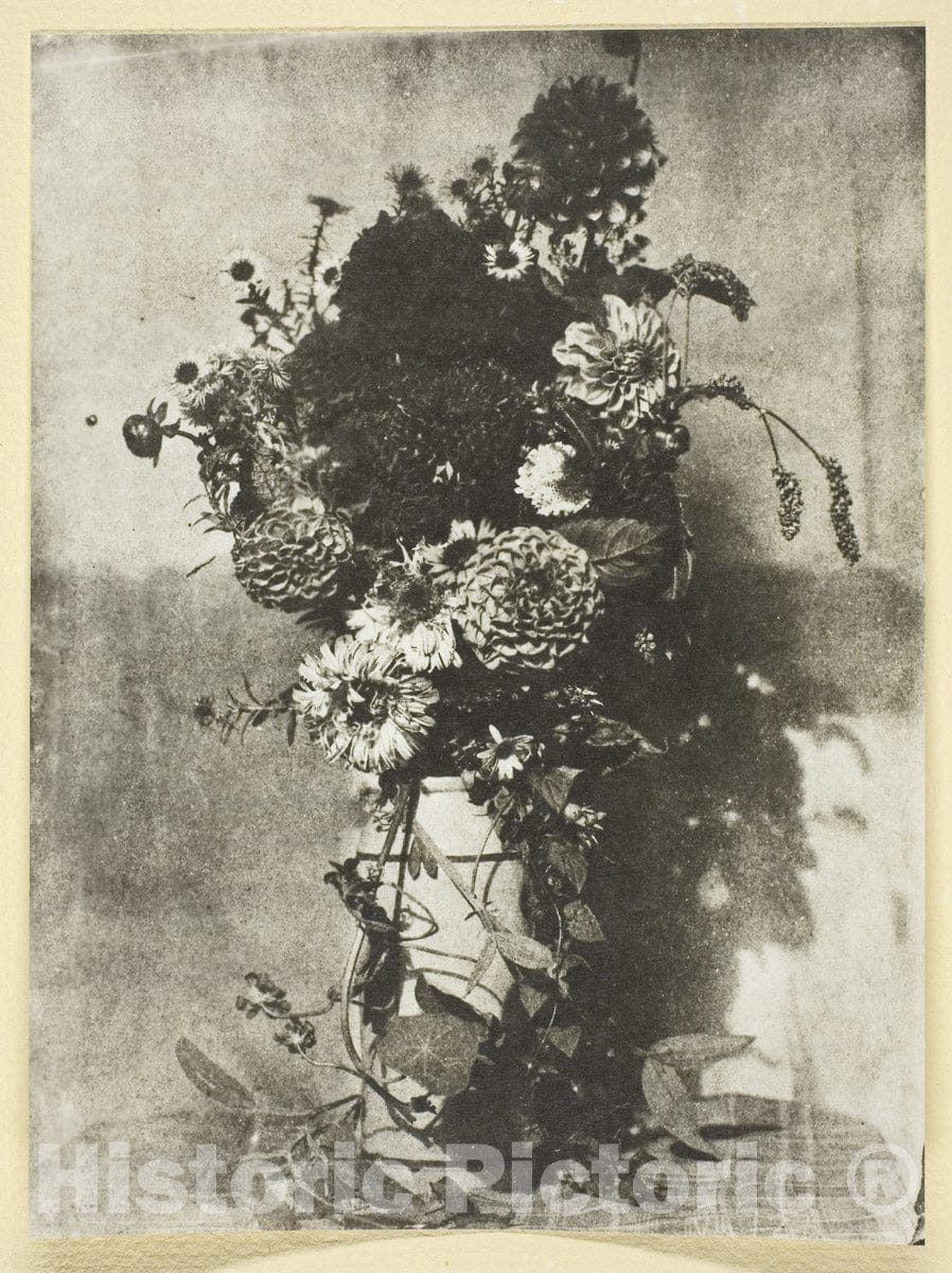 Dragable Image