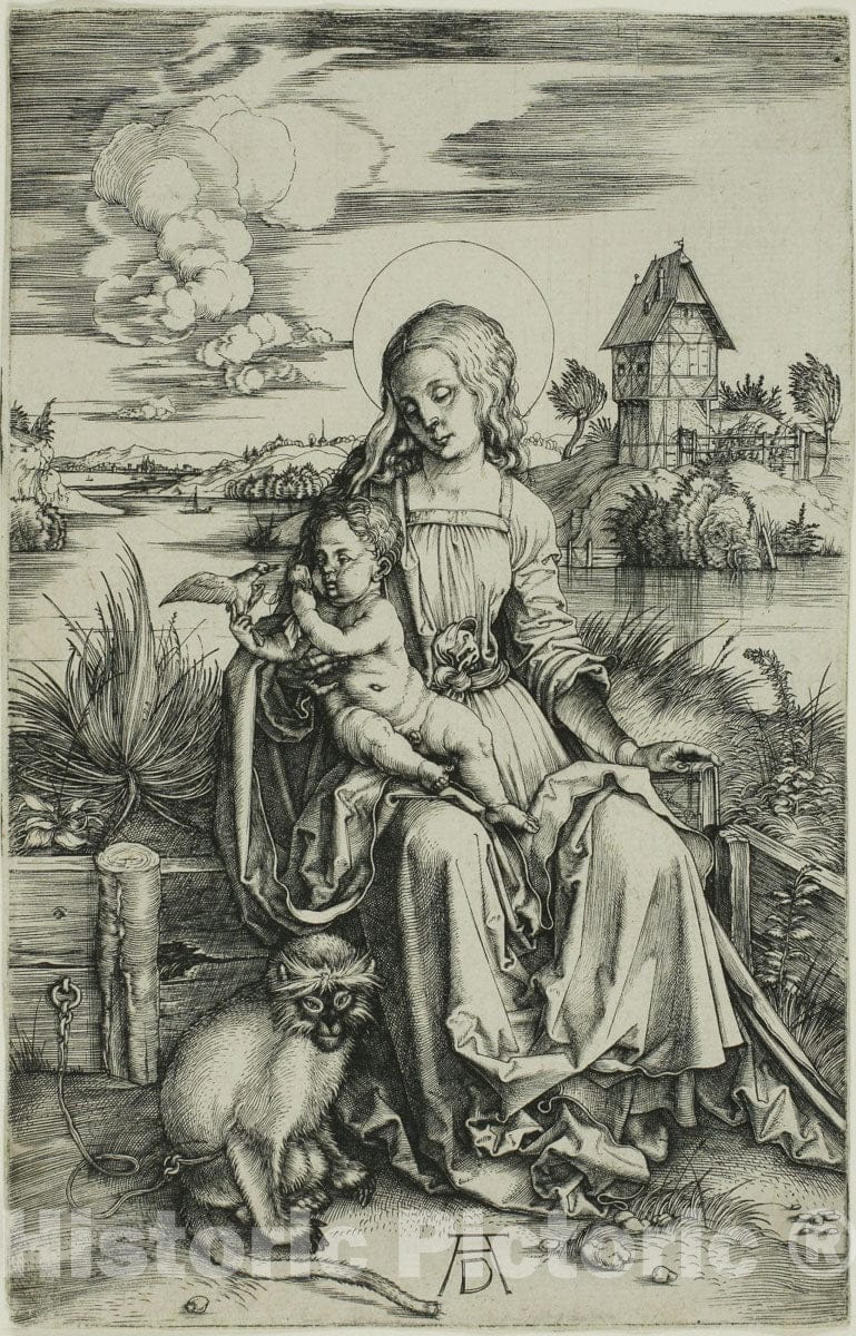 Art Print : Madonna with the Monkey, Albrecht DÃ¼rer, c.1519, Vintage Wall Decor :