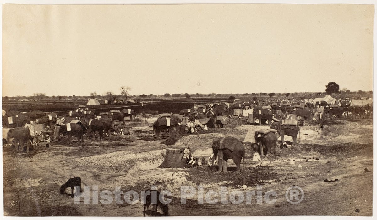 Photo Print : Hatti Kana-The Elephant Camp : Vintage Wall Art