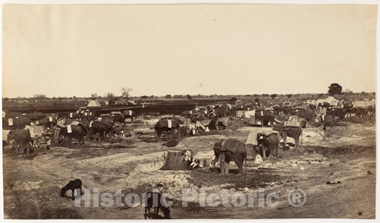 Photo Print : Hatti Kana-The Elephant Camp : Vintage Wall Art