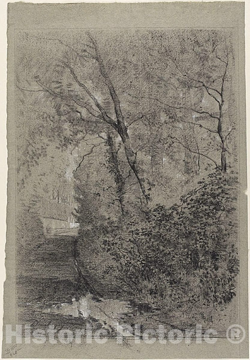 Art Print : Path in the Woods, Charles FranÃ§ois Daubigny, c.1733, Vintage Wall Decor :