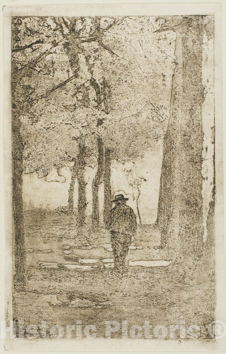 Art Print : Wooded Walk with Figure, Giovanni Fattori, c 1906, Vintage Wall Decor :