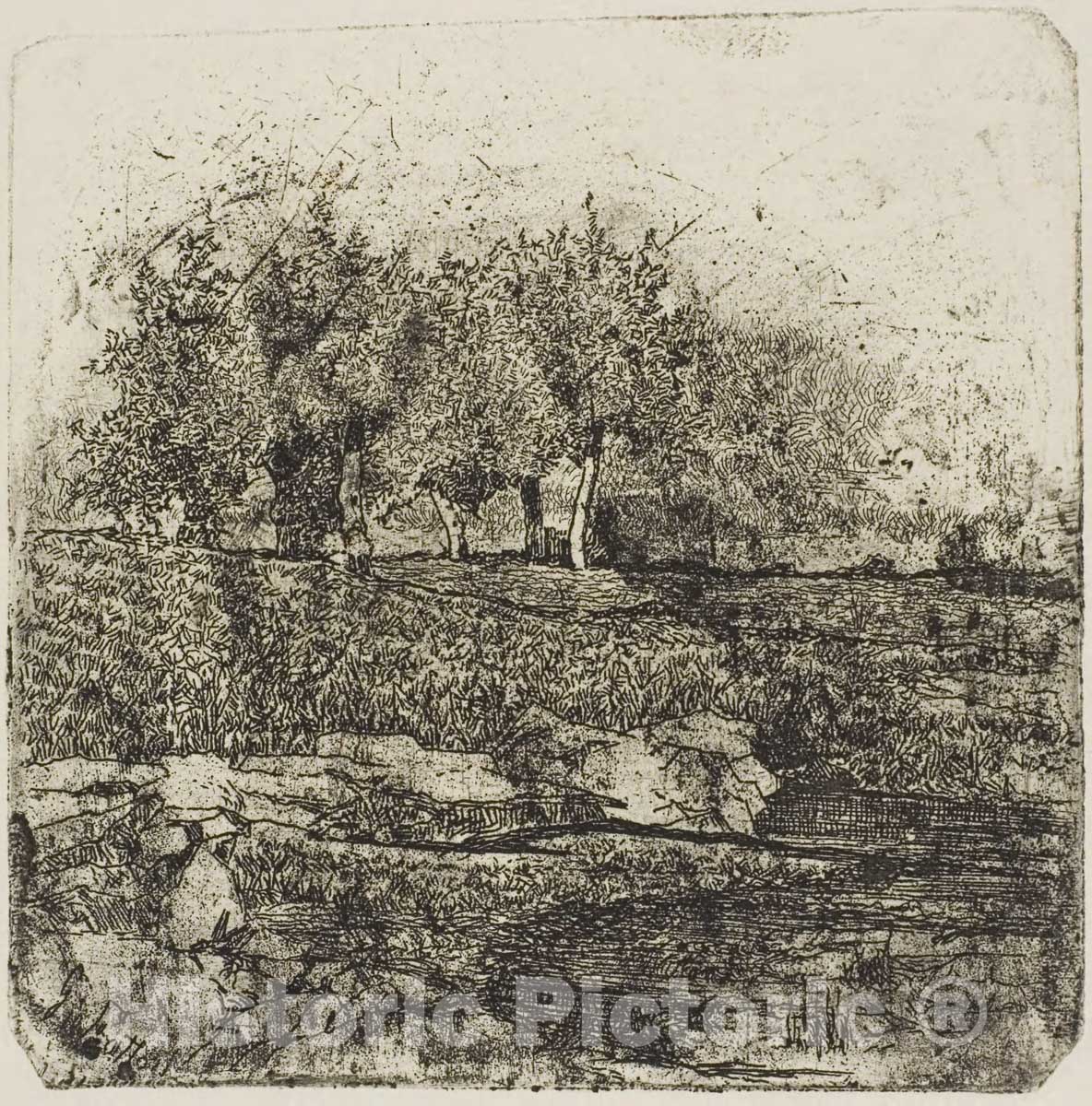Art Print : Trees in a Meadow, Giovanni Fattori, c.1824, Vintage Wall Decor :