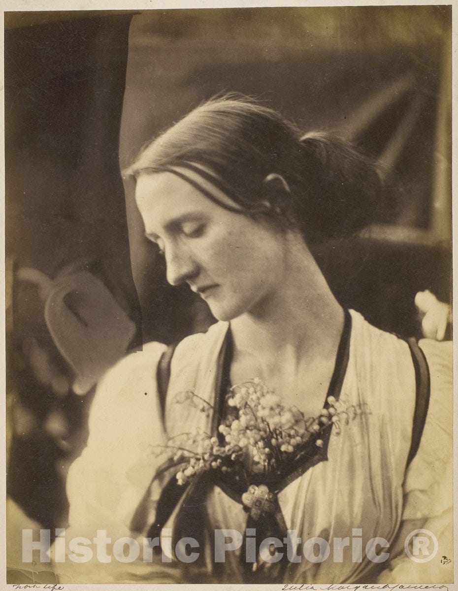 Art Photo : Mary Fisher, Julia Margaret Cameron, c 1850, Vintage Wall Decor :