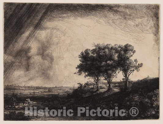 Art Print : The Three Trees, Rembrandt Harmenszoon Van Rijn, c 1953, Vintage Wall Decor :