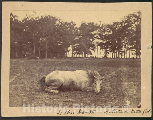 Photo Print : Alexander Gardner - is This Death - Antietam Battlefield, September 1862 : Vintage Wall Art