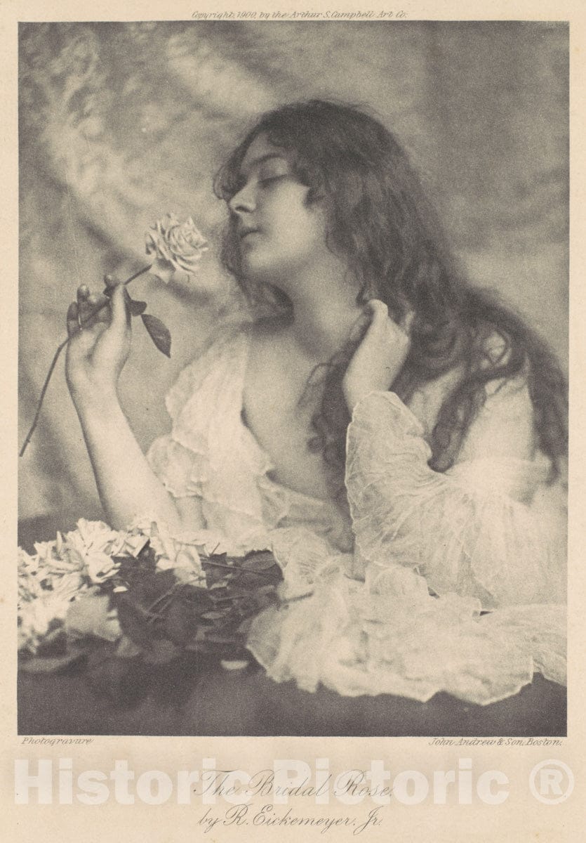 Art Print : Rudolph Eickemeyer - The Bridal Rose : Vintage Wall Art