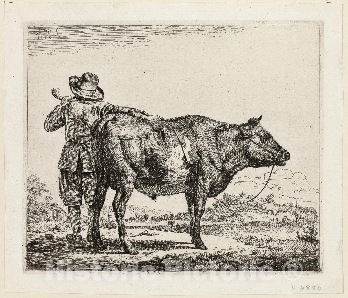 Art Print : The Cowherd and the Bull, Adriaen Van de Velde, c 1907, Vintage Wall Decor :