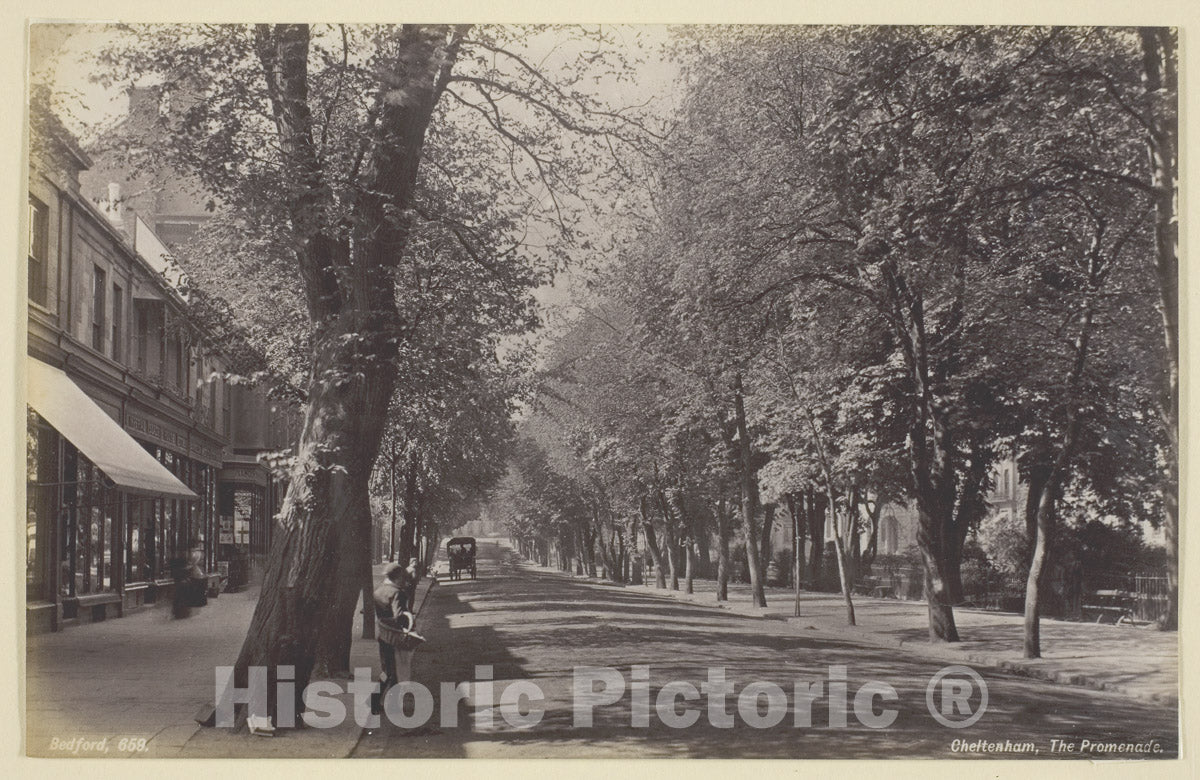Art Photo : Cheltenham, the Promenade, Francis Bedford, c 1855, Vintage Wall Decor :